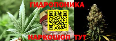 прущие грибы Изобильный
