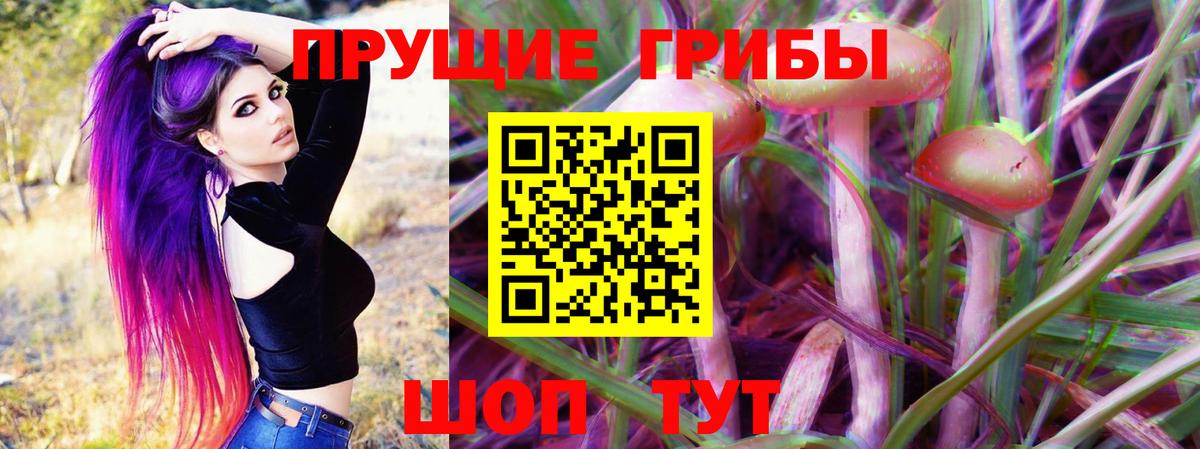 Галлюциногенные грибы Magic Shrooms  Вход с VPN  Лесозаводск 